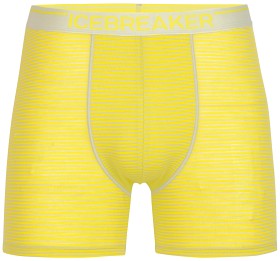 Bilde av Icebreaker M's Anatomica Boxers Ether/Shine/S