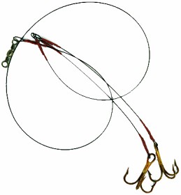 Bild på IFISH Ismete tafs