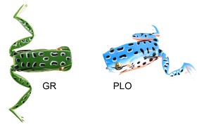 Bilde av IFISH Popper Frog 18g
