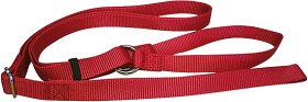 Bild på Koiravaruste Leash Red