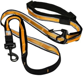 Bilde av Kurgo Quantum Leash Reflect & Protect Black/Orange
