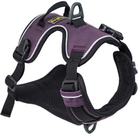 Bilde av OllyDog Alpine Reflective Harness Dahlia