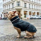 Cloud7 London French Bulldog Dog Raincoat Slate str 4-5