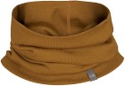 Icebreaker Apex Chute Clove Unisex