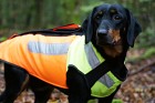 Pinewood BoarProtect Dog Cut-Protect-Vest XS