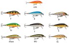 Rapala CountDown 5cm