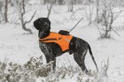 Tracker Hundevest Kardog Raipe